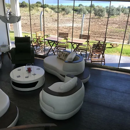 Propertyrentalsinturkey 阿库布克