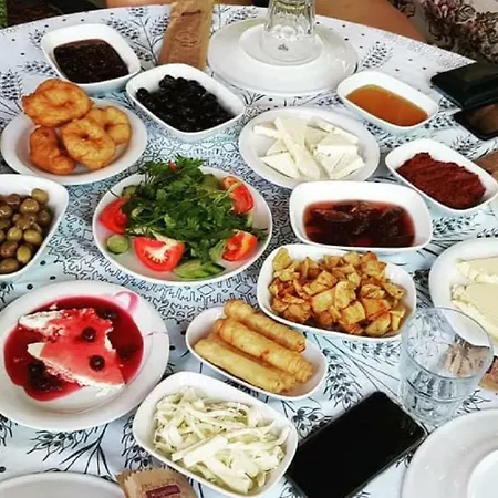 度假居 Propertyrentalsinturkey 阿库布克